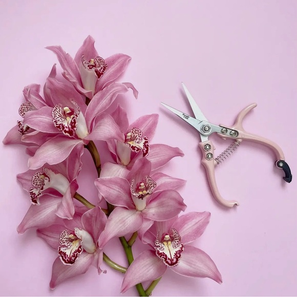 Pruning Shears - Picture 5 of 10